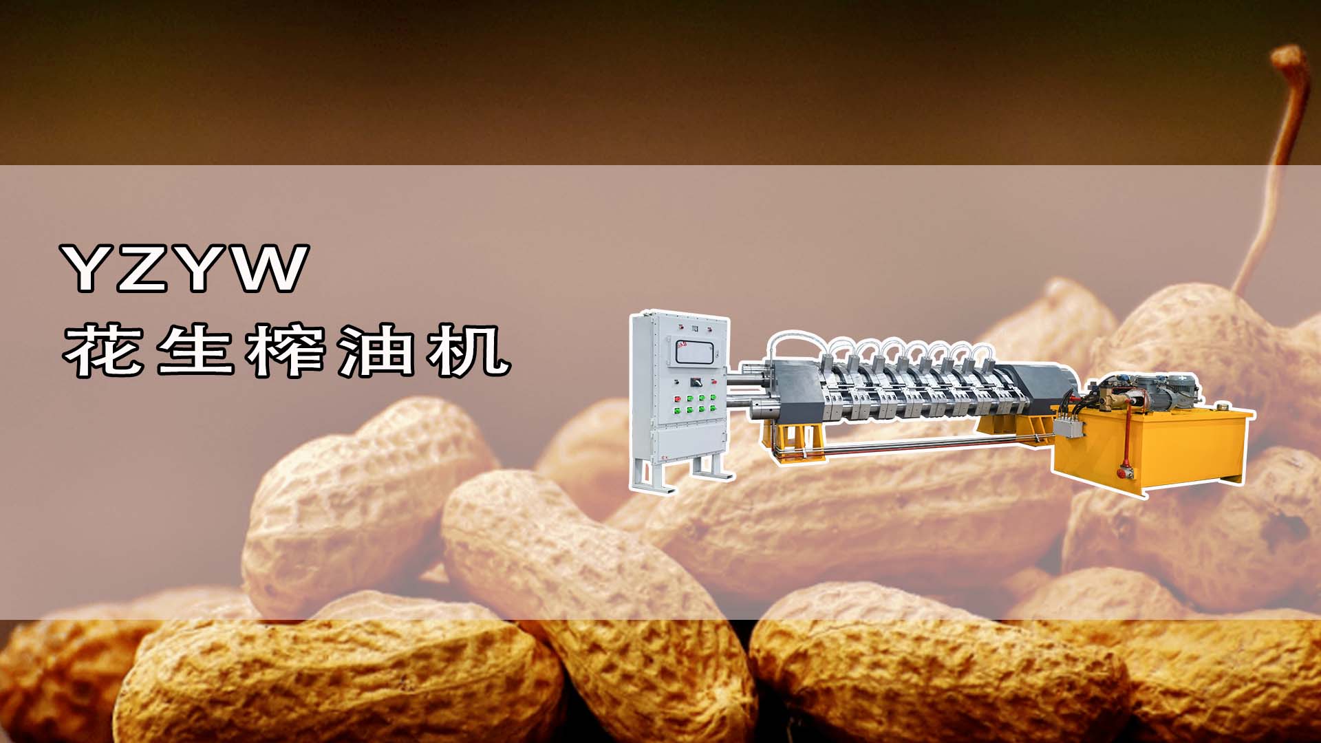 YZYW花生榨油機(jī)
